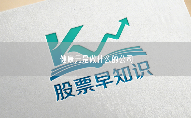 健康元是做什么的公司