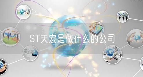 ST天宏是做什么的公司