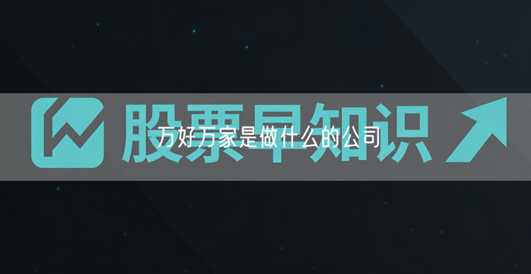 万好万家是做什么的公司