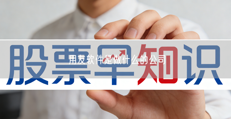 用友软件是做什么的公司