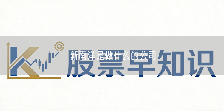 新南洋是做什么的公司