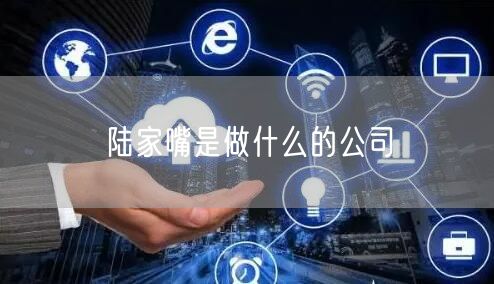 陆家嘴是做什么的公司