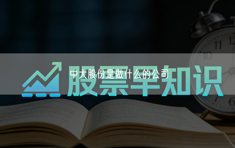 中大股份是做什么的公司