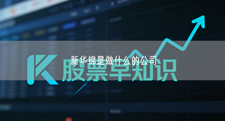 新华锦是做什么的公司
