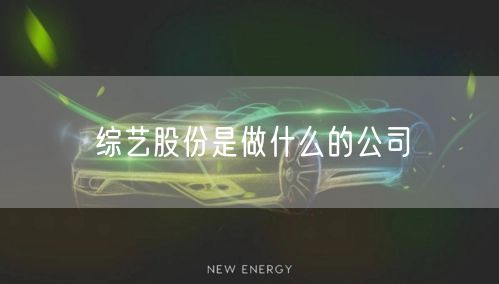 综艺股份是做什么的公司