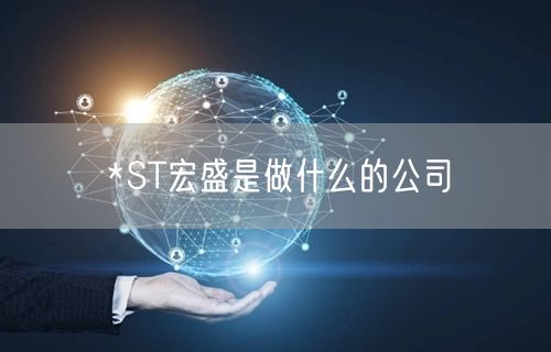 *ST宏盛是做什么的公司