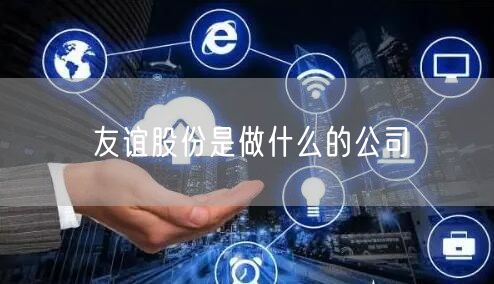 友谊股份是做什么的公司