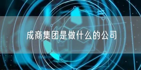 成商集团是做什么的公司