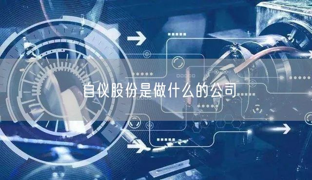 自仪股份是做什么的公司