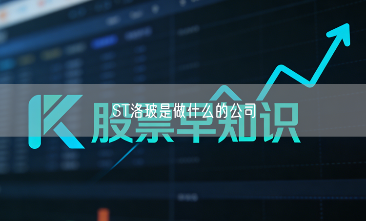 ST洛玻是做什么的公司