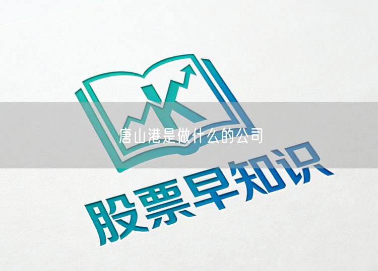 唐山港是做什么的公司
