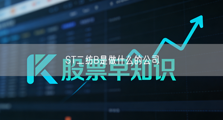ST二纺B是做什么的公司