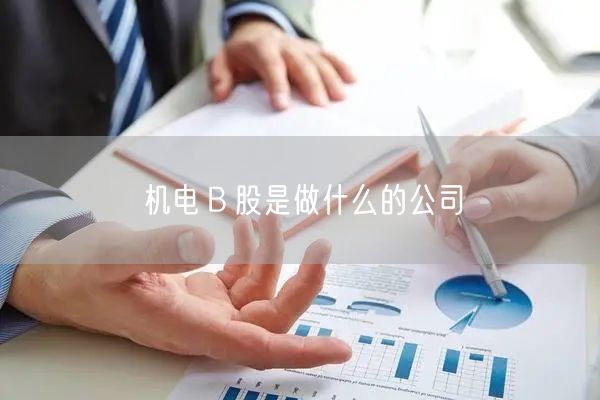 机电Ｂ股是做什么的公司