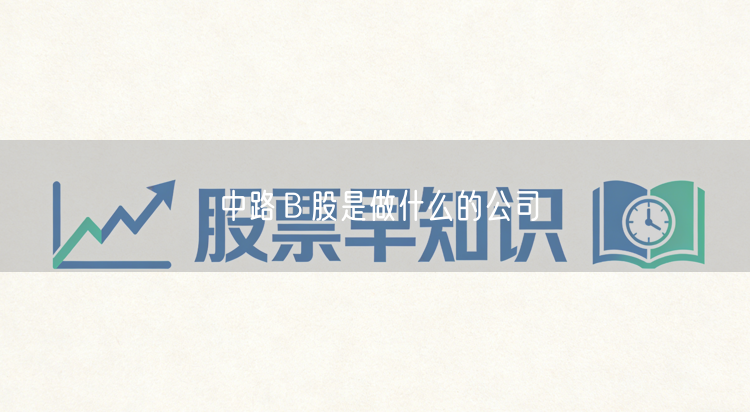 中路Ｂ股是做什么的公司