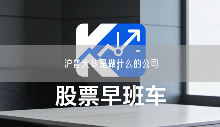 沪普天Ｂ是做什么的公司