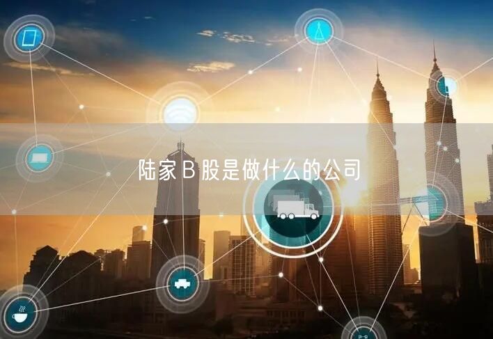 陆家Ｂ股是做什么的公司