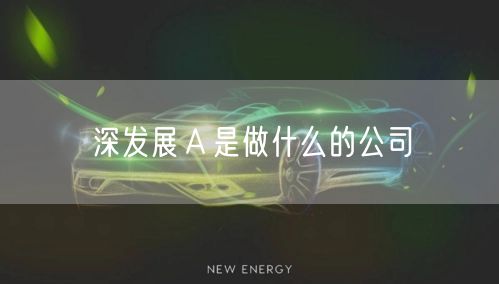 深发展Ａ是做什么的公司