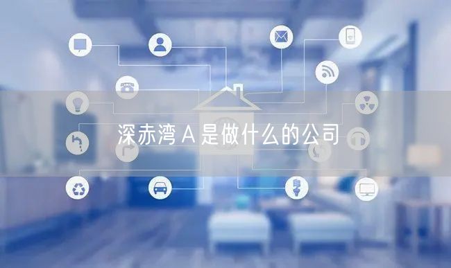 深赤湾Ａ是做什么的公司