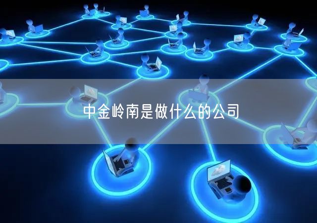 中金岭南是做什么的公司