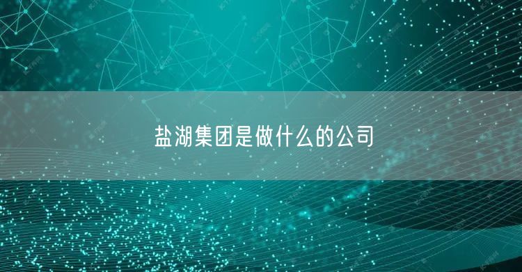 盐湖集团是做什么的公司