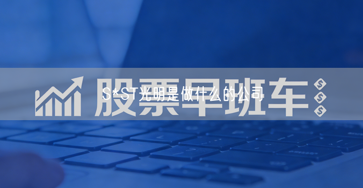 S*ST光明是做什么的公司