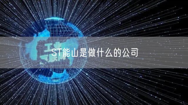 ST能山是做什么的公司