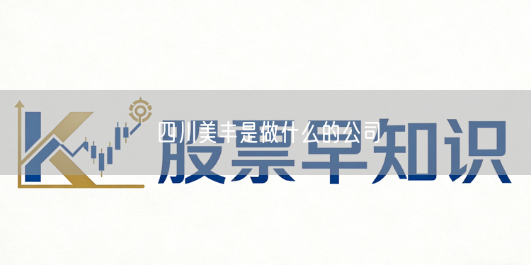 四川美丰是做什么的公司