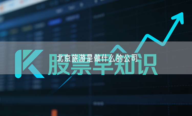 北京旅游是做什么的公司