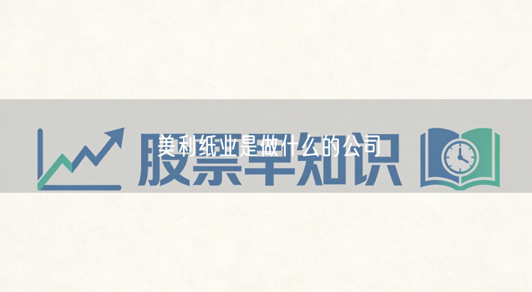 美利纸业是做什么的公司
