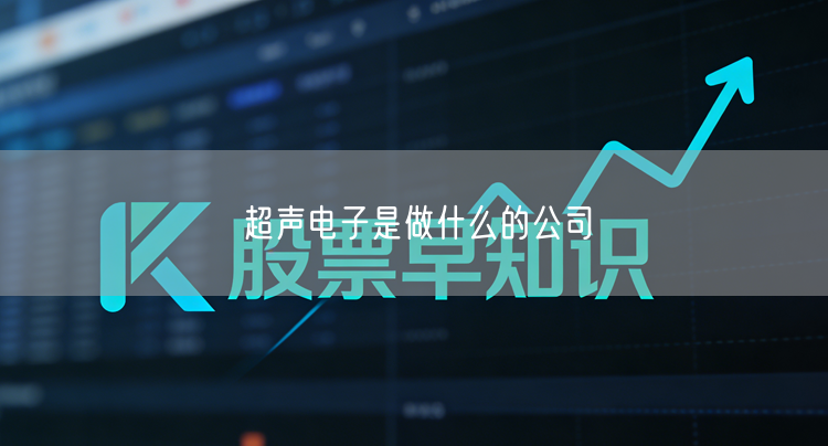 超声电子是做什么的公司