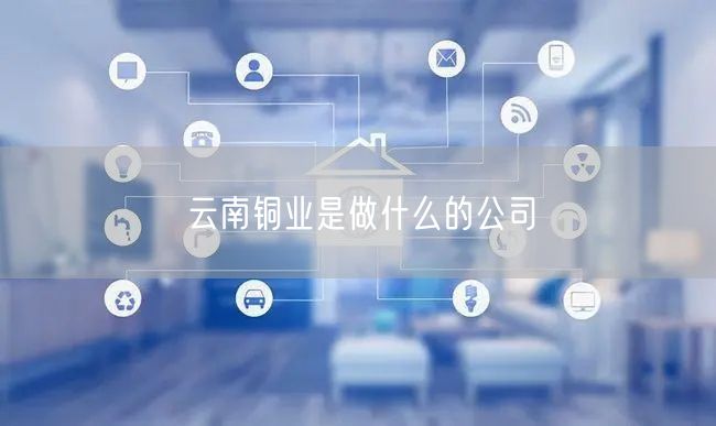 云南铜业是做什么的公司