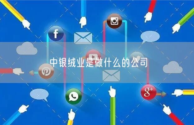 中银绒业是做什么的公司