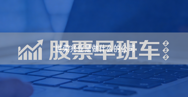 世荣兆业是做什么的公司