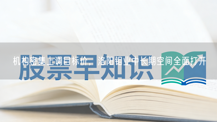 机构密集上调目标价,洛阳钼业中长期空间全面打开