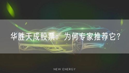 华胜天成股票:为何专家推荐它?