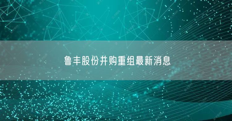 鲁丰股份并购重组最新消息