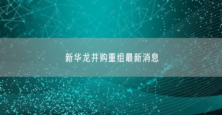 新华龙并购重组最新消息