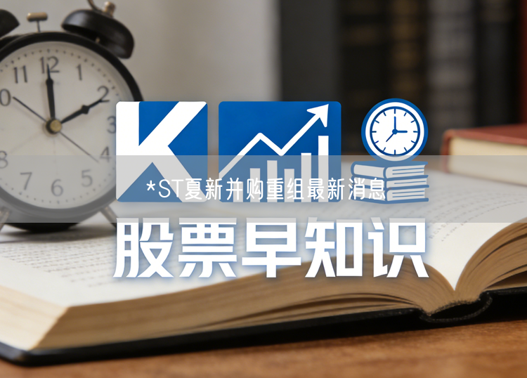 *ST夏新并购重组最新消息