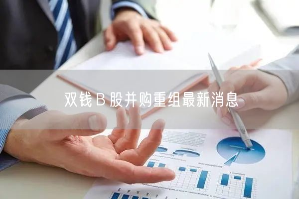 双钱Ｂ股并购重组最新消息