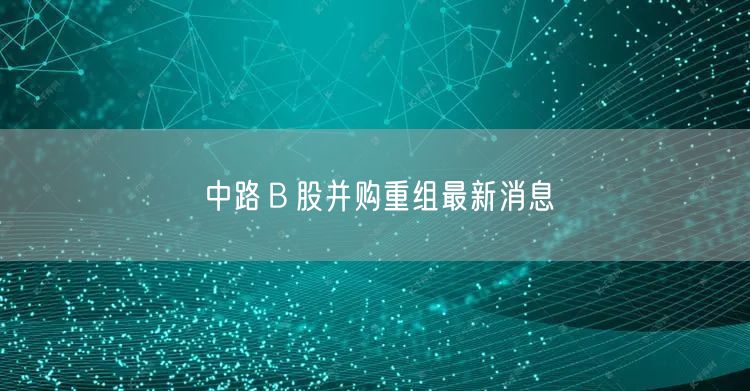 中路Ｂ股并购重组最新消息