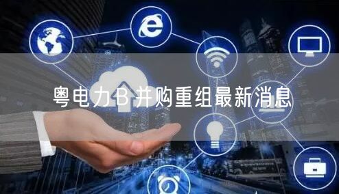 粤电力Ｂ并购重组最新消息