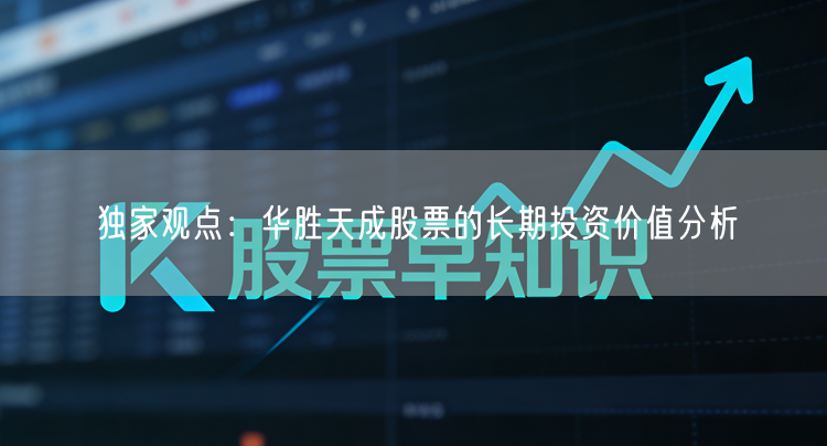 独家观点:华胜天成股票的长期投资价值分析