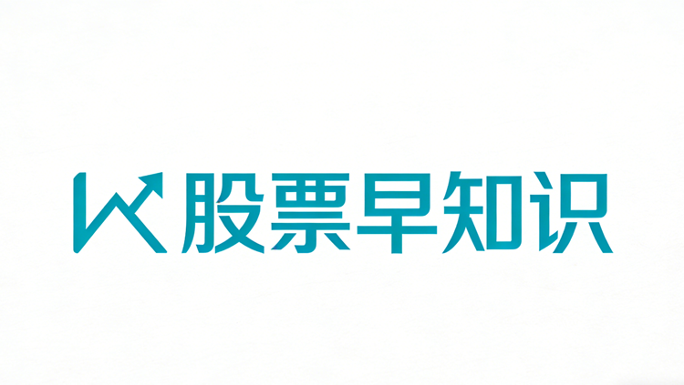 标准股份是做什么的公司