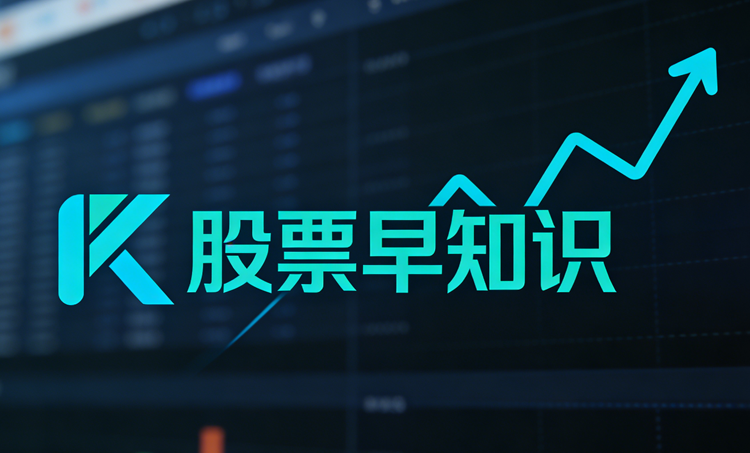 新华光是做什么的公司